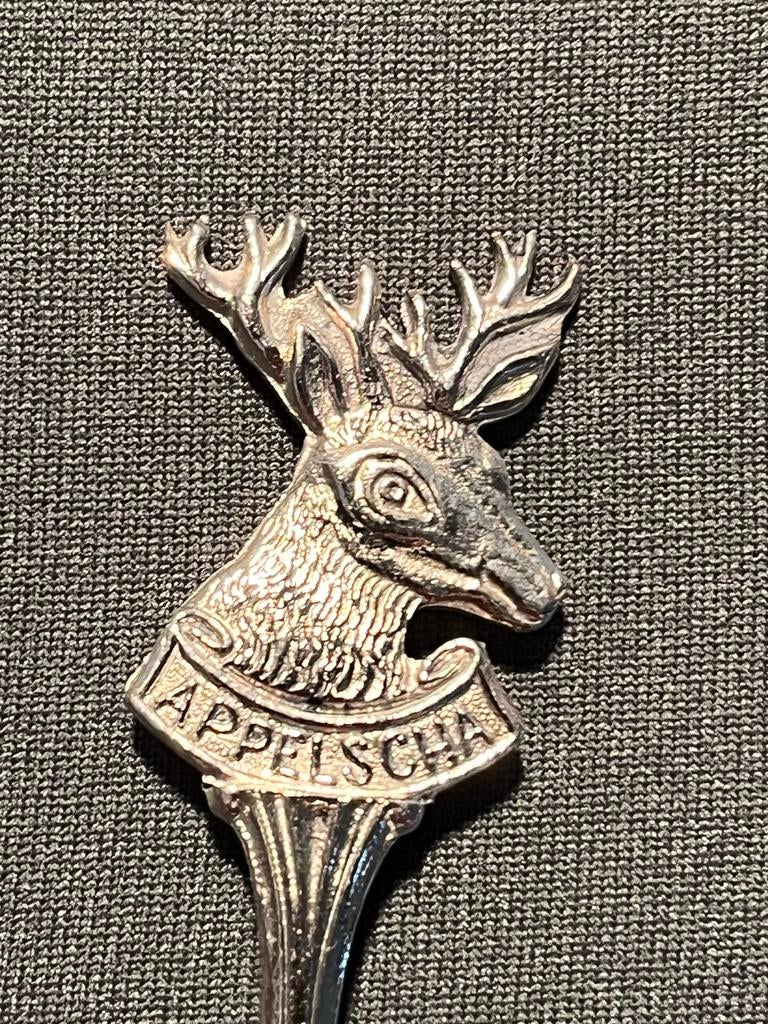 Vintage lepeltje Appelscha., Ophalen of Verzenden