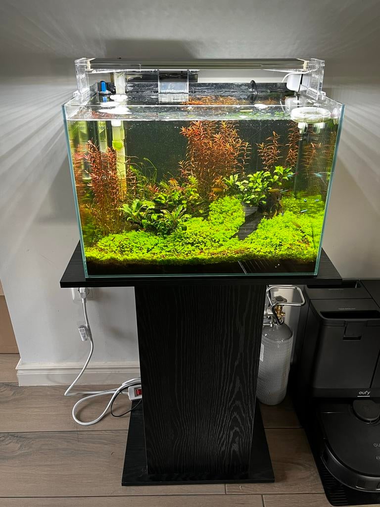 Super mooie complete aquarium aquascaping, Ophalen, Zo goed als nieuw, Filter of Co2
