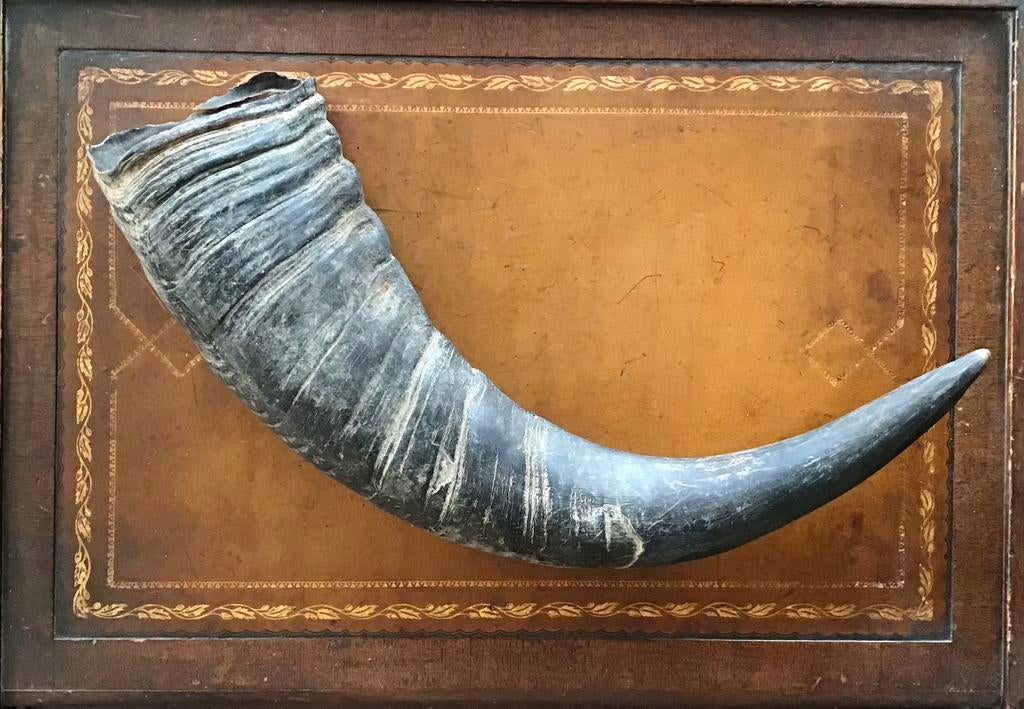 Decoratieve hoorn, Ophalen, Gebruikt