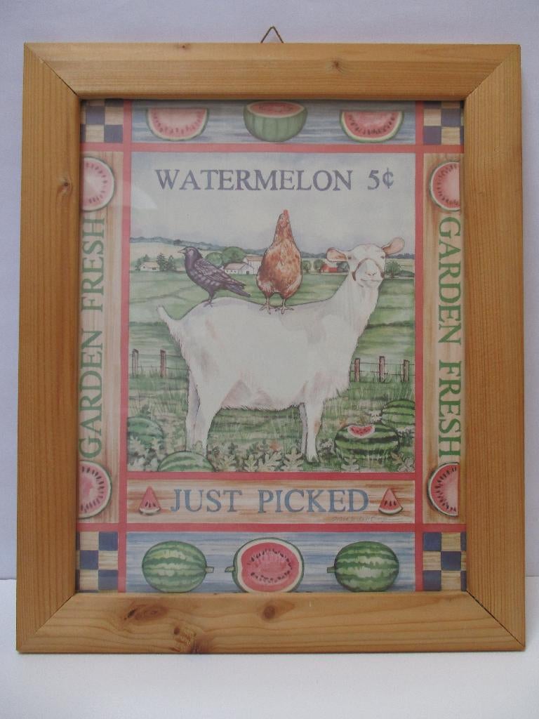 Nostalgische vintage dierenprent: “gijt, kip en kraai“, Verzenden, 1980 tot heden, Zo goed als nieuw, Dier