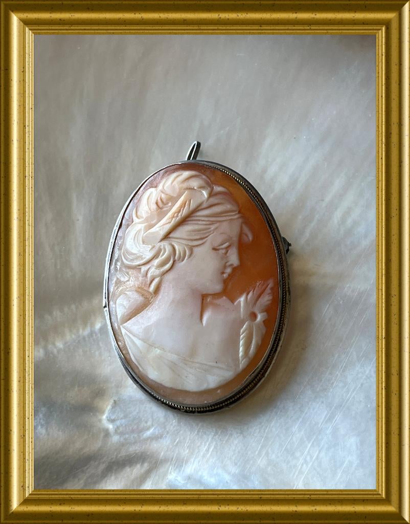 Oude zilveren broche / hanger: schelp camee, Ophalen of Verzenden, Zilver, Broche