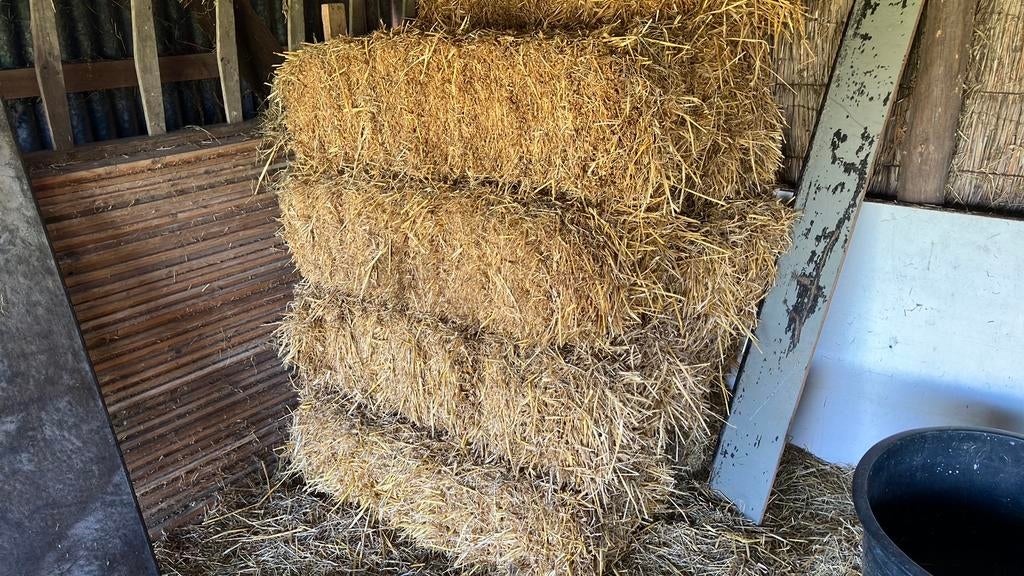 Stro / pakjes stro, Ophalen of Verzenden, Vee