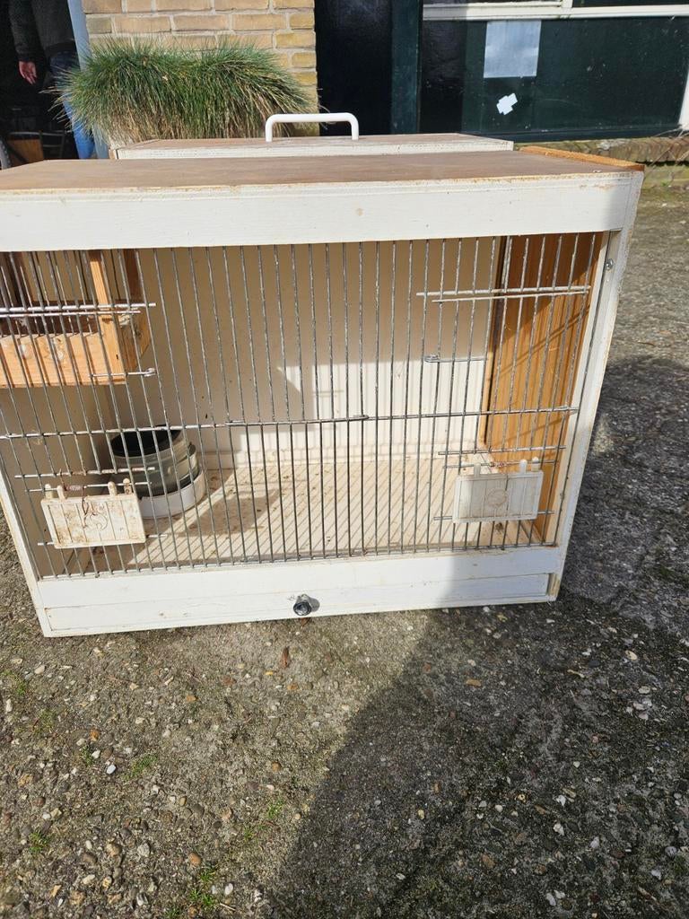 Broedkooien, Dieren en Toebehoren, Ophalen, Broedkooi of Kweekkooi