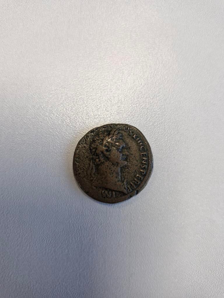 romeinse Domitianus munt, Ophalen of Verzenden