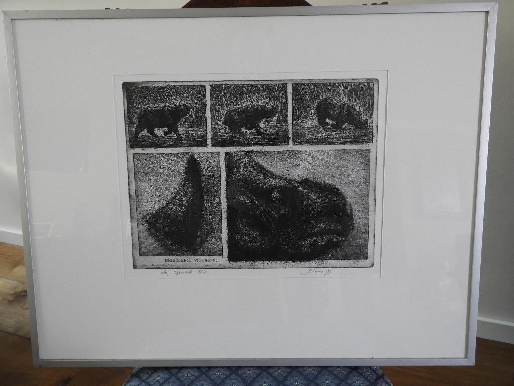 Ets - Gesigneerd - Jan Hurx - Rhinoceros Vnicornis - nr VII, Ophalen, Ingelijst, Flora en Fauna, 1950 - 1999