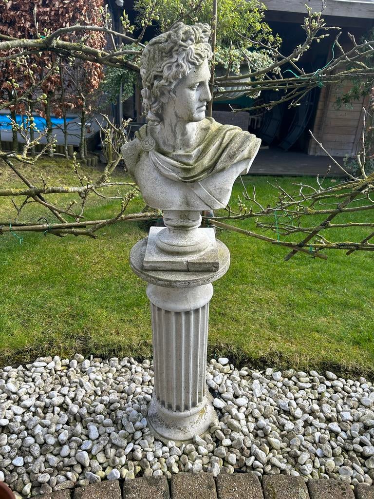 Buste van de Apollo van Belvedère op zuil, Ophalen, Gebruikt, Steen