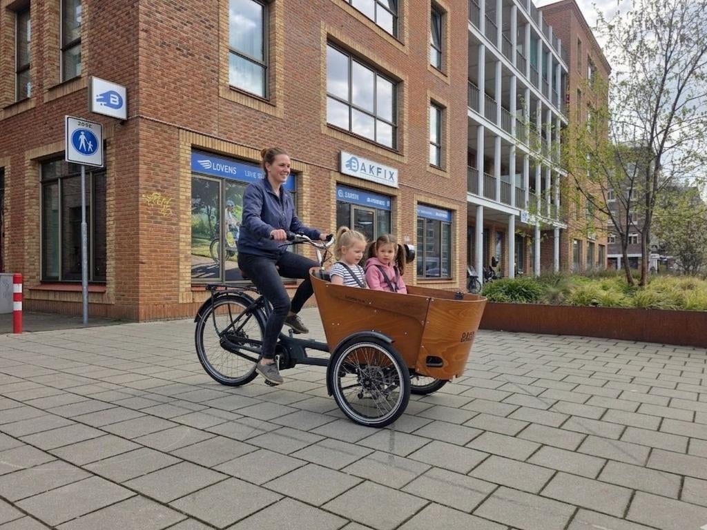 Elektrische Babboe Carve Mountain Bakfiets, Fietsen en Brommers, Fietsen | Bakfietsen, Gebruikt, Overige merken, 2 kinderen, Elektrisch