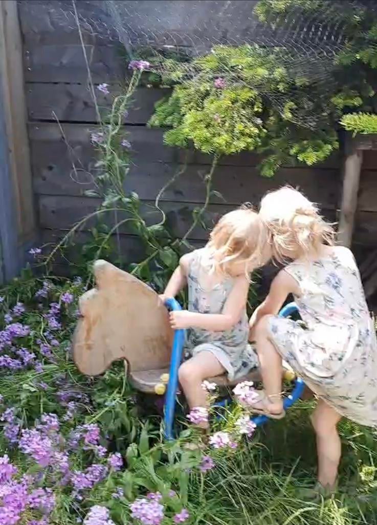 Schommelpaard wipkip, Kinderen en Baby's, Speelgoed | Buiten | Speeltoestellen, Ophalen