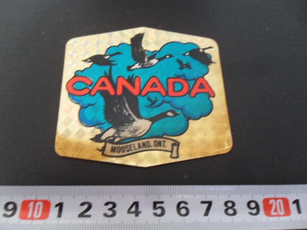 sticker folie CANADA mooseland ontario ganzen, Ophalen, Zo goed als nieuw