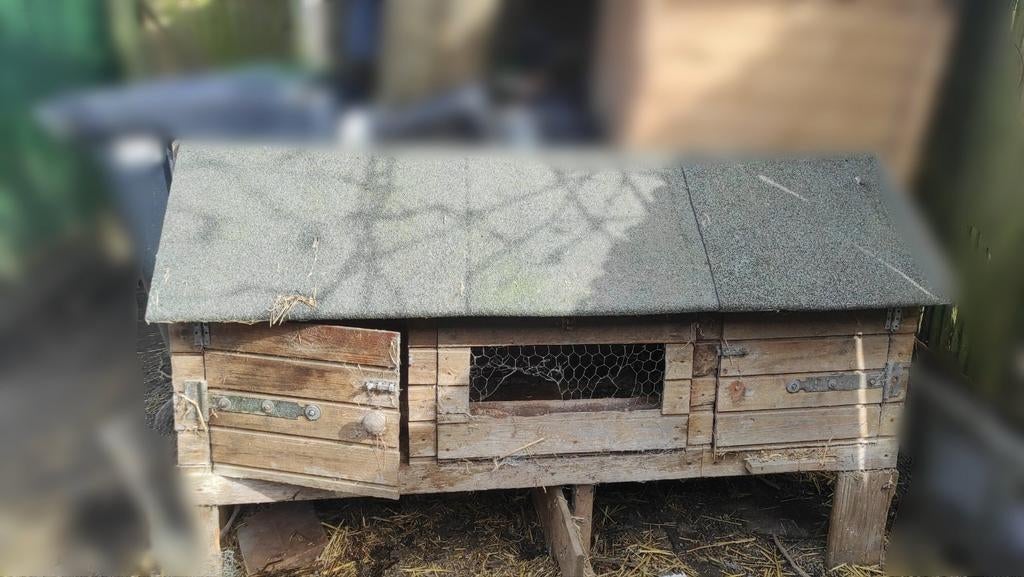 Konijnenhok, Dieren en Toebehoren, Knaagdieren en Konijnen | Hokken en Kooien, Ophalen, 90 cm of meer, Konijn, Hok