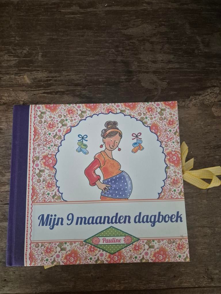 Mijn 9 maanden dagboek, Boeken, Ophalen of Verzenden, Nieuw, Zwangerschap en Bevalling
