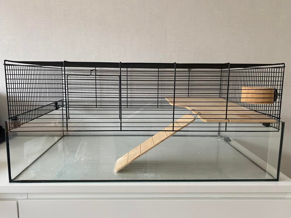 Hamsterkooi, Kooi, Gebruikt, Hamster, Ophalen