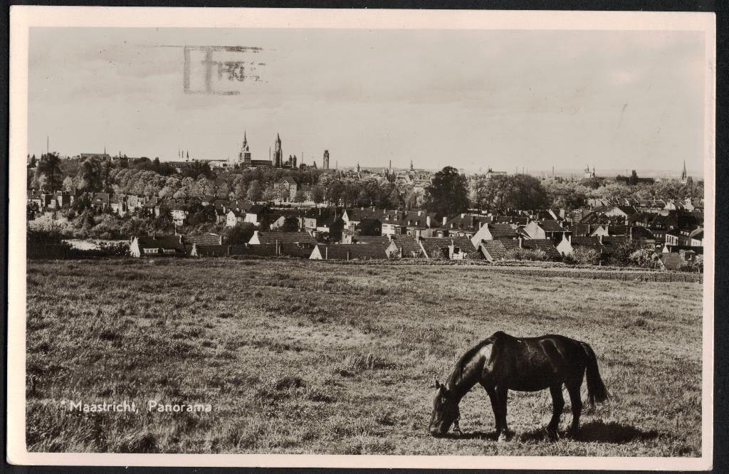 Maastricht, Panorama, paard. 1950., Ophalen of Verzenden, 1940 tot 1960, Gelopen, Limburg