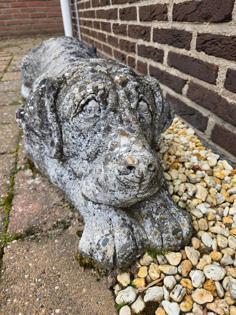 Betonnen Labrador Hond, Tuin en Terras, Ophalen