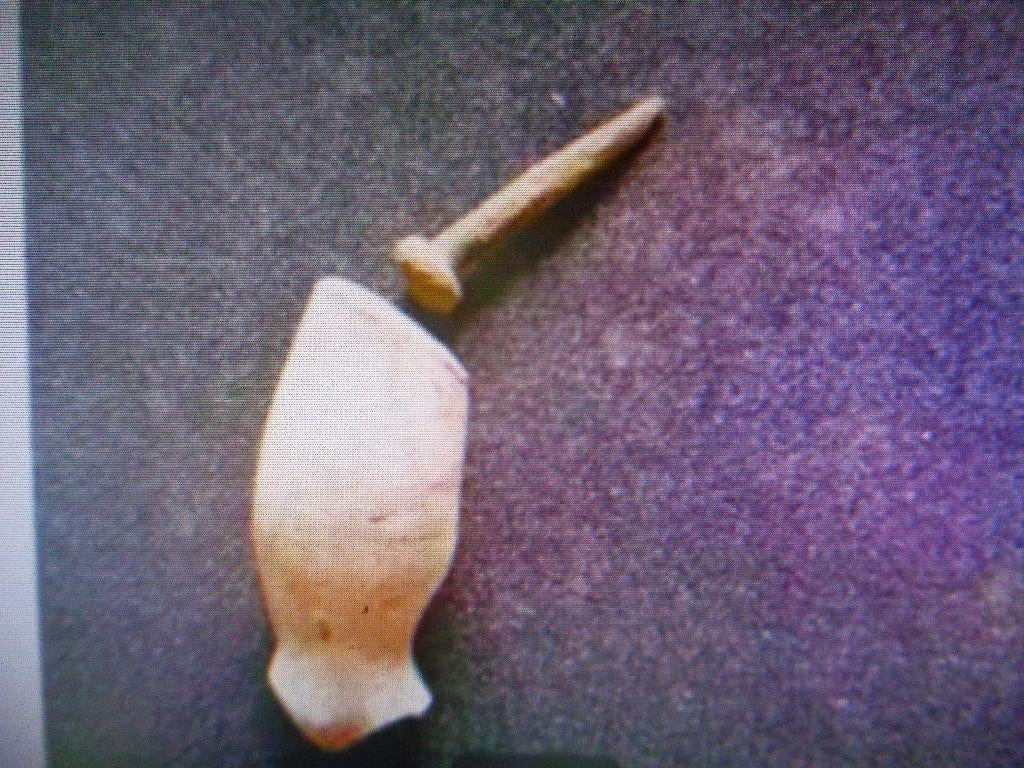 16eeuwse Pijpenkop met koperen Pijpenreutelaar, Antiek en Kunst, Ophalen of Verzenden