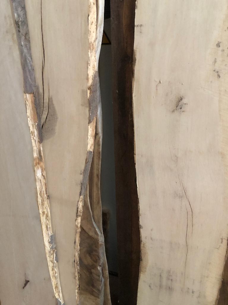 Witte beuk weissbuch schaaldelen boomplank snijplank, Huis en Inrichting, Ophalen of Verzenden, Nieuw