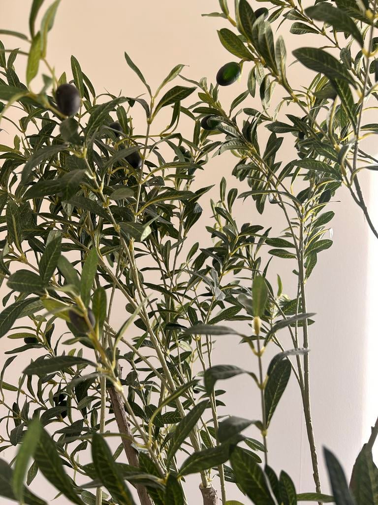 Kunst olijfboom, Binnen, Kunstplant, Ophalen of Verzenden, Kunststof