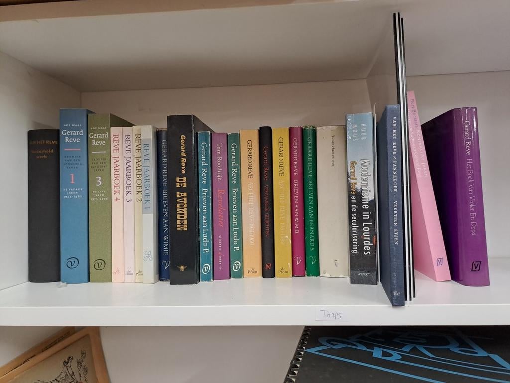 Gerard Reve - ca. 25 titels, Ophalen of Verzenden, Gelezen