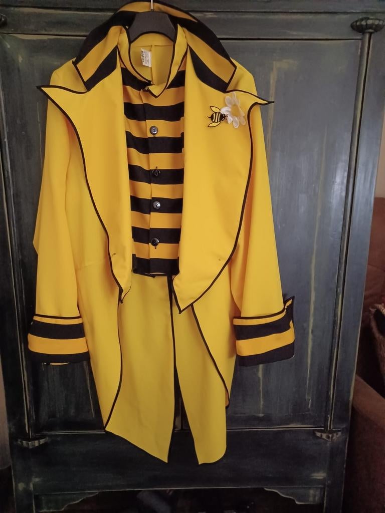 Bijen koning(in) Slipjas Kostuum, Kleding | Dames, Jasjes, Kostuums en Pakken, Zo goed als nieuw, Zwart, Ophalen