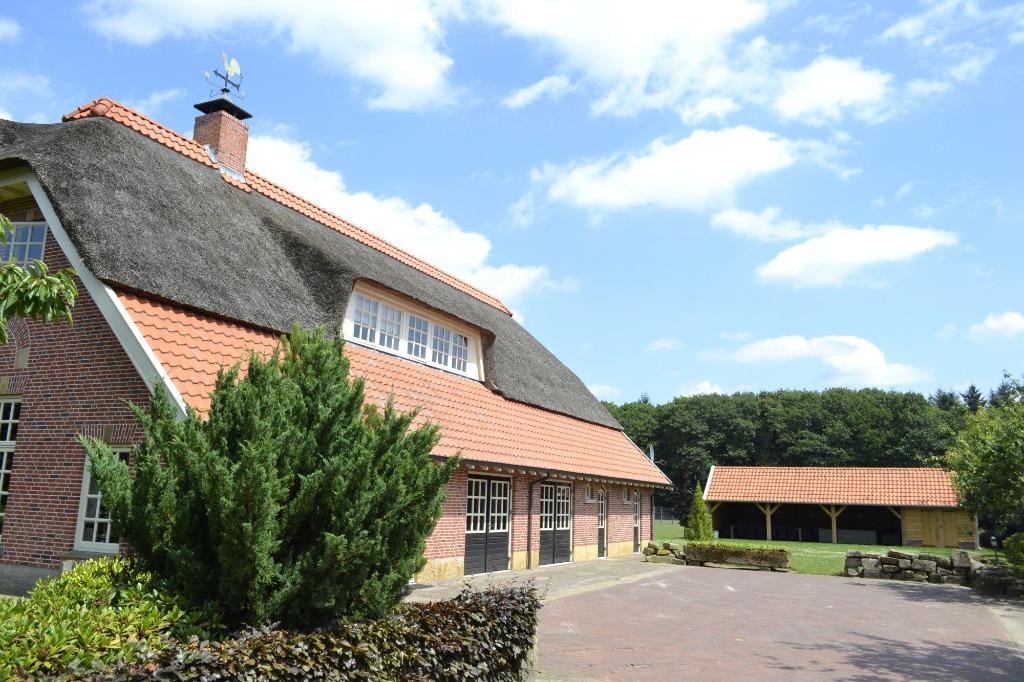 Vakantiehuis Twente, voor 16 personen, Hot-tub, bbq, sauna., Vakantie, Vakantiehuizen | Nederland, Groepsaccommodatie, In bos