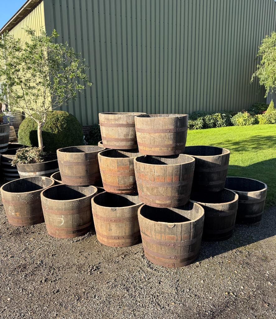 Plantenbak, Half wijnvat, Half vat, Eiken regenton Vijver, Ophalen, Rond, 60 tot 100 cm, 30 tot 60 cm