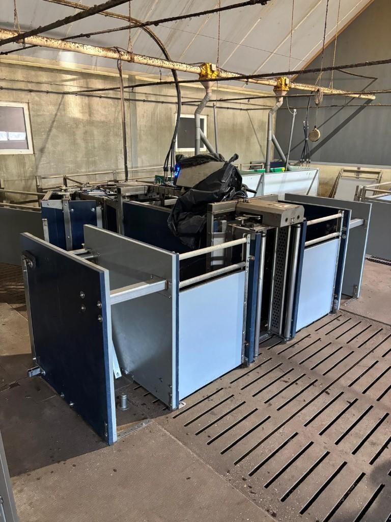 Nedap weegstations voor vleesvarkens [105], Boekhorst Trading, Tim@boekhorsttrading.com, Singel 16, Horssen