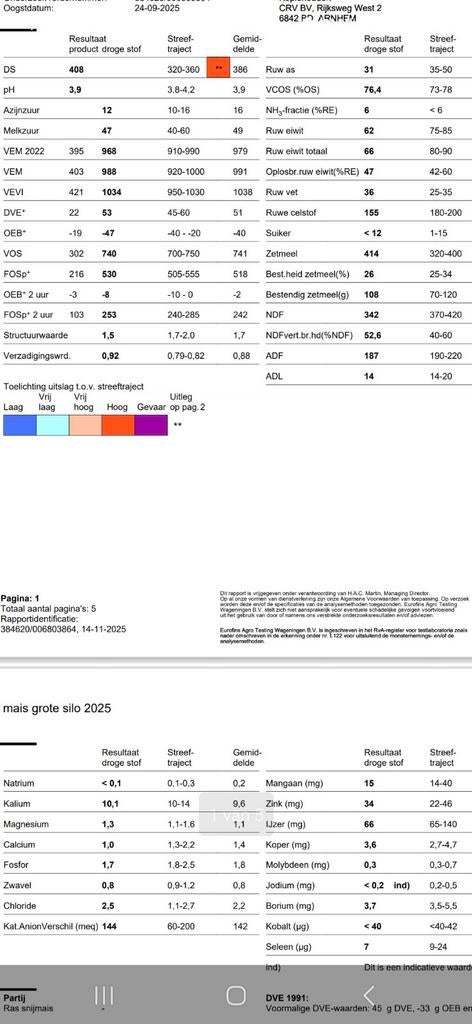 Maiskuil 2025, hoge kwaliteit, Ophalen of Verzenden