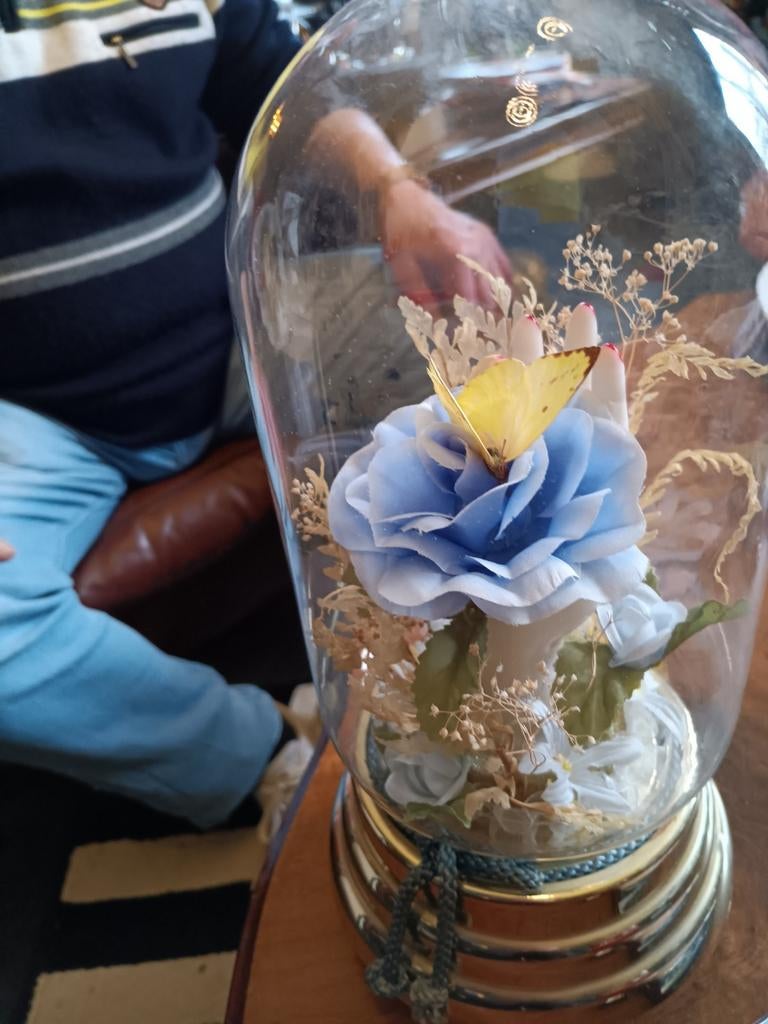 Speeldoos, Ophalen of Verzenden