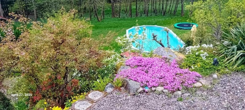 Te koop! Chalet in Ventron met zwembad en grote tuin, Vakantie, Vakantiehuizen | Frankrijk, 4 of meer slaapkamers, Vogezen of Jura