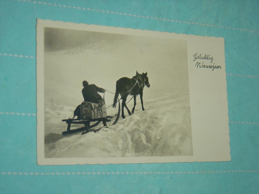 11) Zwart-wit ansichtkaart Paard, Verzenden, 1940 tot 1960, Ongelopen, Paard