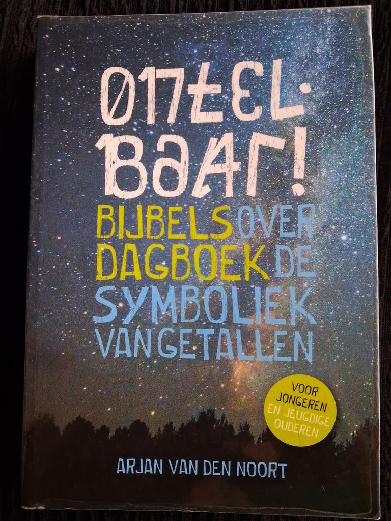 Dagboek: Arjan van den Noort - Ontelbaar!, Boeken, Godsdienst en Theologie, Ophalen of Verzenden, Zo goed als nieuw, Arjan van den Noort