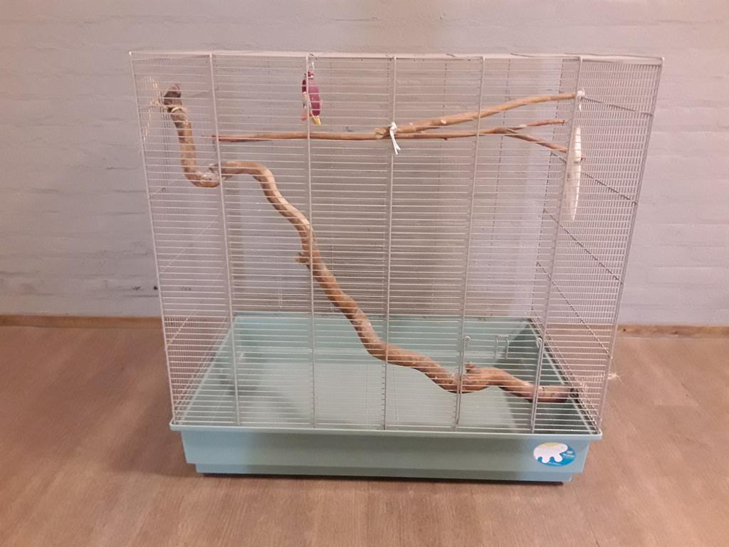 Hele ruime vogelkooi 80 x 79 x 50 cm., Ophalen, Speelgoed