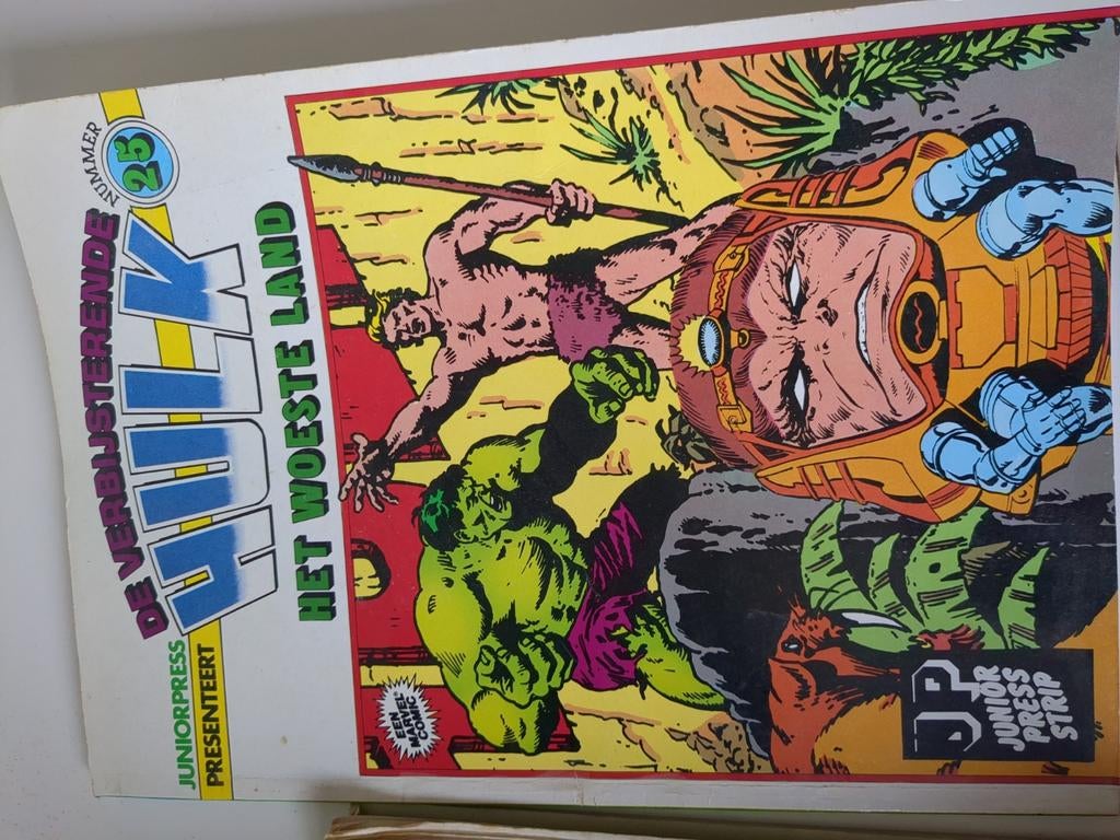 De Verbijsterende Hulk: Het Woeste Land - Juniorpress 23, Eén stripboek, Ophalen of Verzenden, Gelezen, Stan Lee