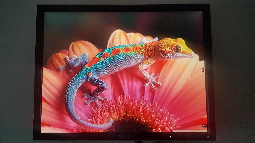 Dell monitor 2007fpb, Gebruikt, IPS, Ophalen of Verzenden, Dell