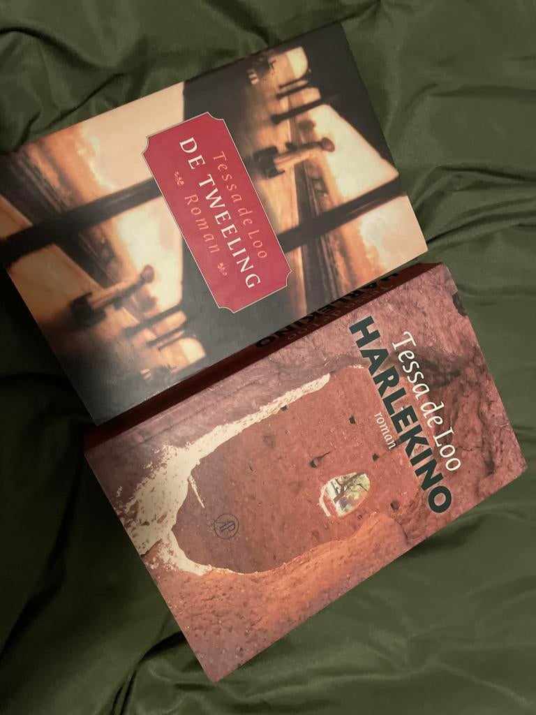 Tessa de Loo - De Tweeling en Harlekino, Boeken, Romans, Ophalen of Verzenden, Gelezen, Nederland