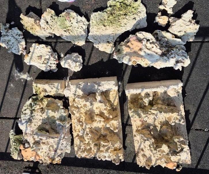 Zee aquarium keramiek, Ophalen