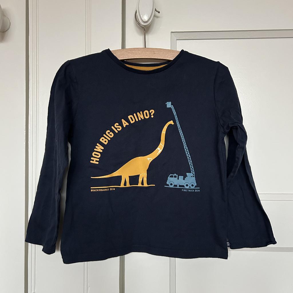 Dino truitje Okaïdi - mt 116, Ophalen of Verzenden, Zo goed als nieuw, Jongen, Shirt of Longsleeve