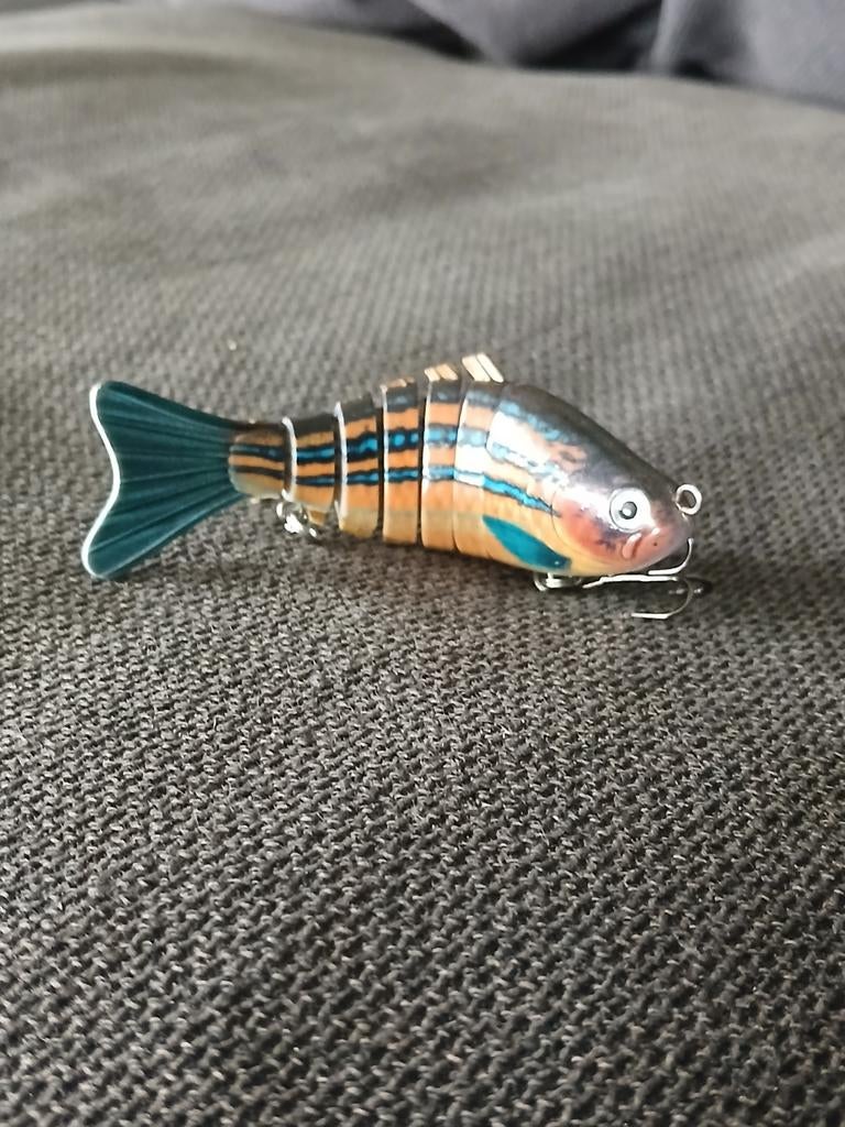 Vis aas, Ophalen of Verzenden, Nieuw, Overige typen