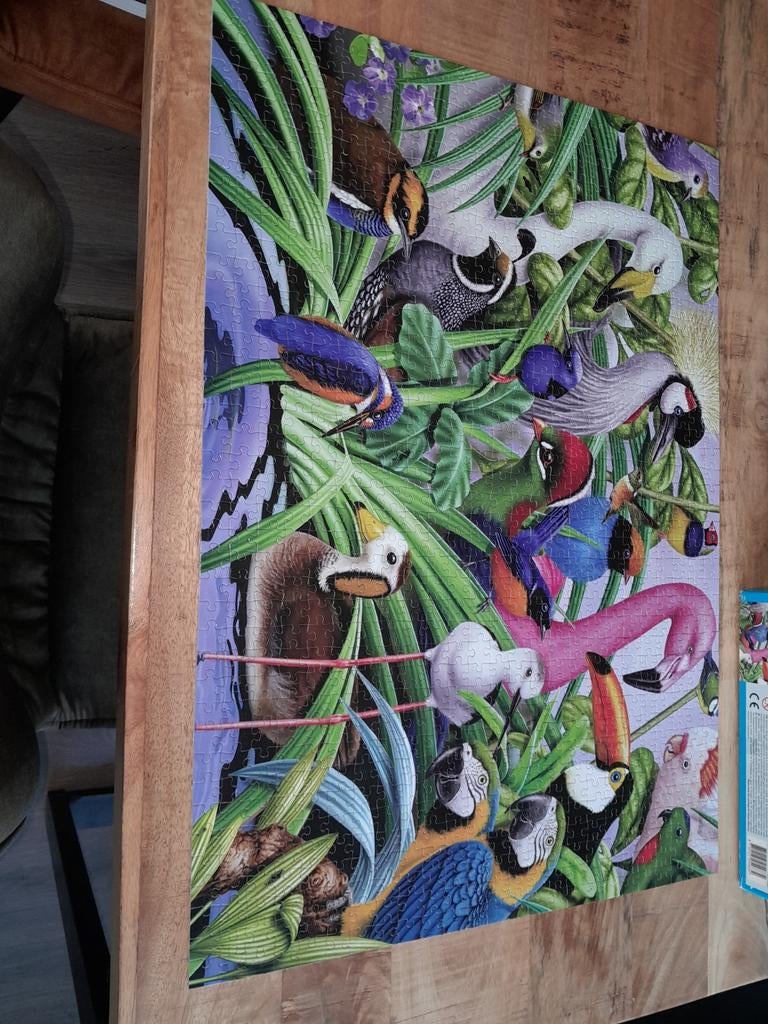 Complete puzzel 1000 stukjes, Ophalen, 500 t/m 1500 stukjes, Zo goed als nieuw, Legpuzzel