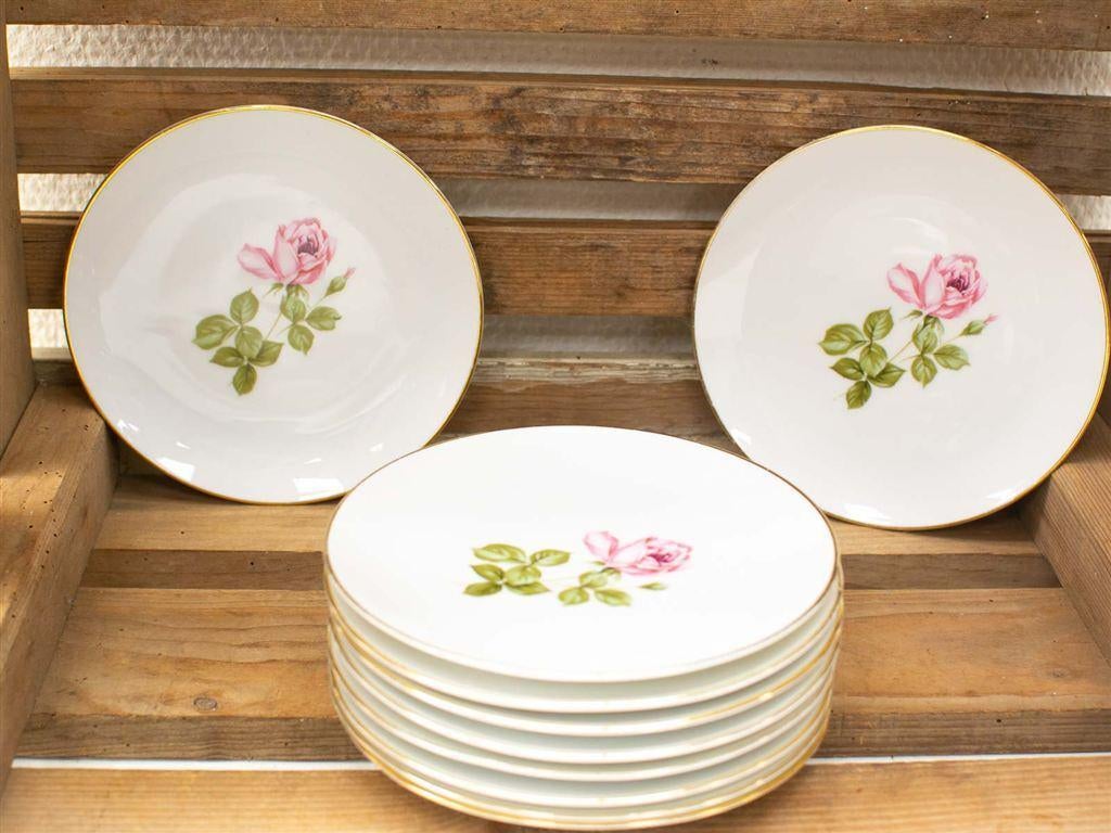 11 delig schumann Arzberg bavaria gebaksservies 33679, Huis en Inrichting, Keuken | Servies, Gebruikt, Ophalen of Verzenden, Bord(en)