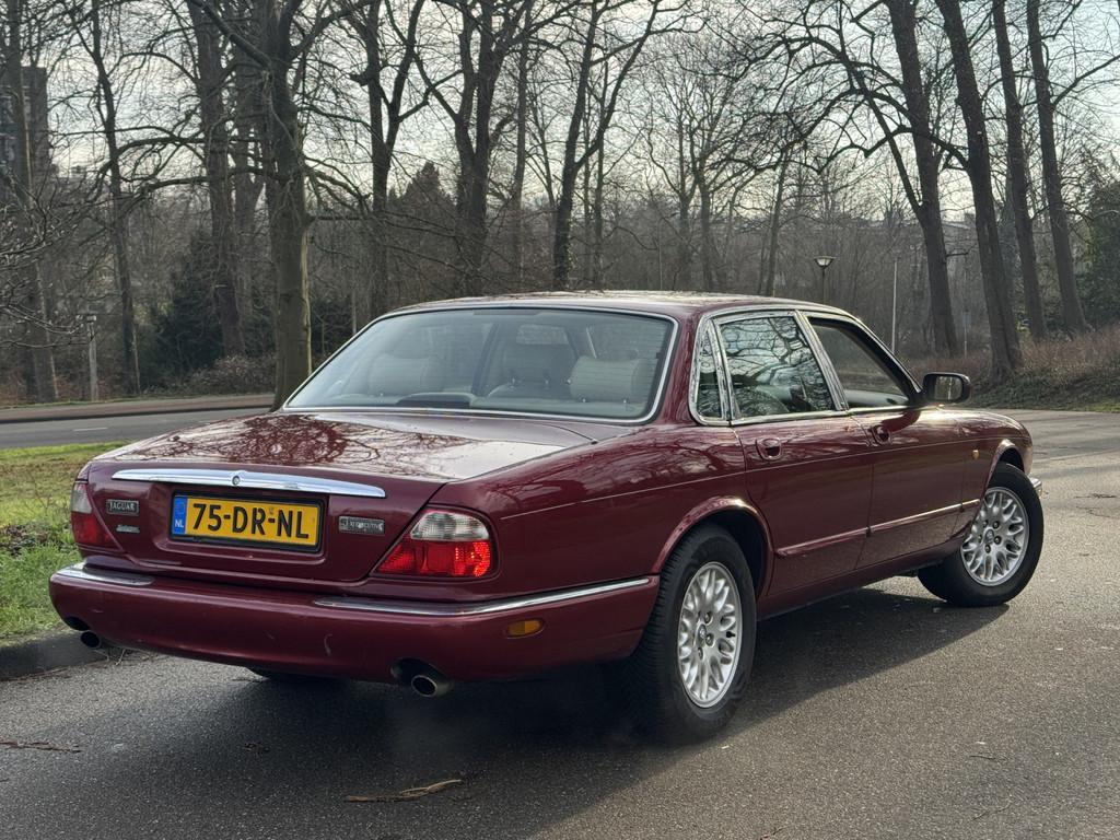 Jaguar XJ 3.2 V8 8.000 KM P/JR ! RIJKLAAR (bj 1999), Automaat, Bedrijf, Sedan, 3248 cc