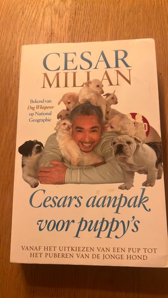 Hondentraining: Cesar Millan’s aanpak voor puppy’s, Ophalen of Verzenden, Gelezen, Honden