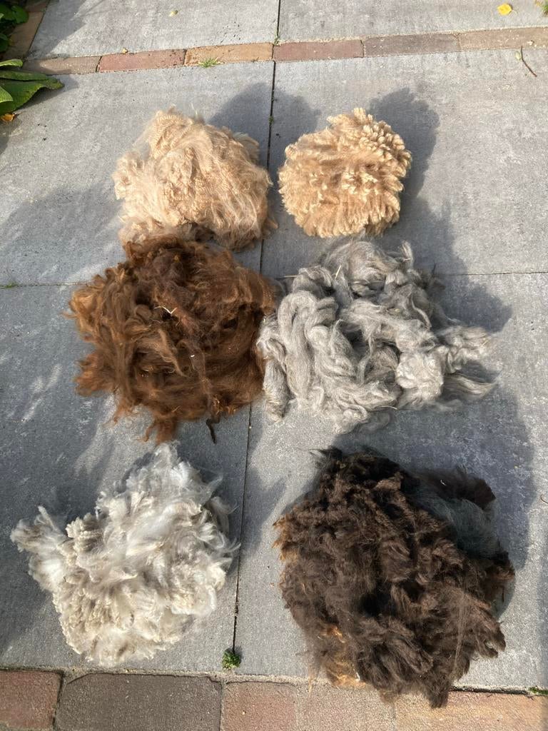 Gratis alpaca wol – ±50 vachten – grote partij – alles mee, Ophalen, Gebruikt, Wol, Bruin