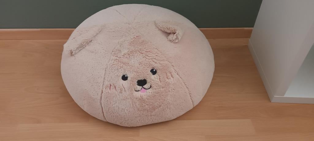 Poef hondje Kwantum, Ophalen