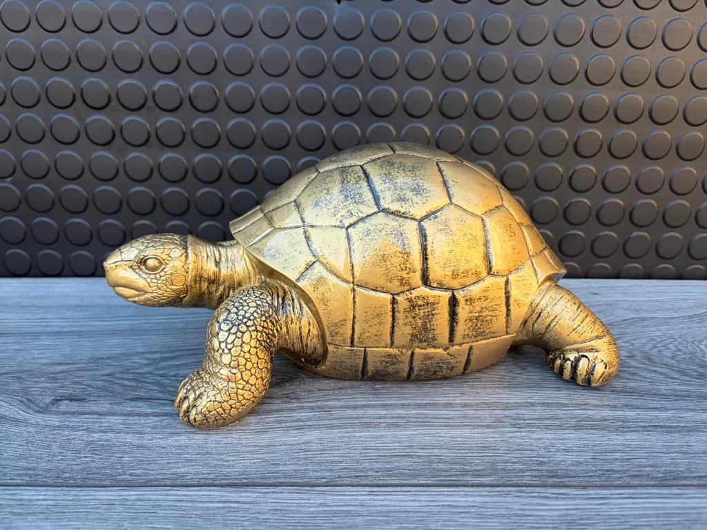 schildpad (goud/zwart) 15hoog 30breed/Nieuw!, Ophalen of Verzenden, Nieuw, Dier