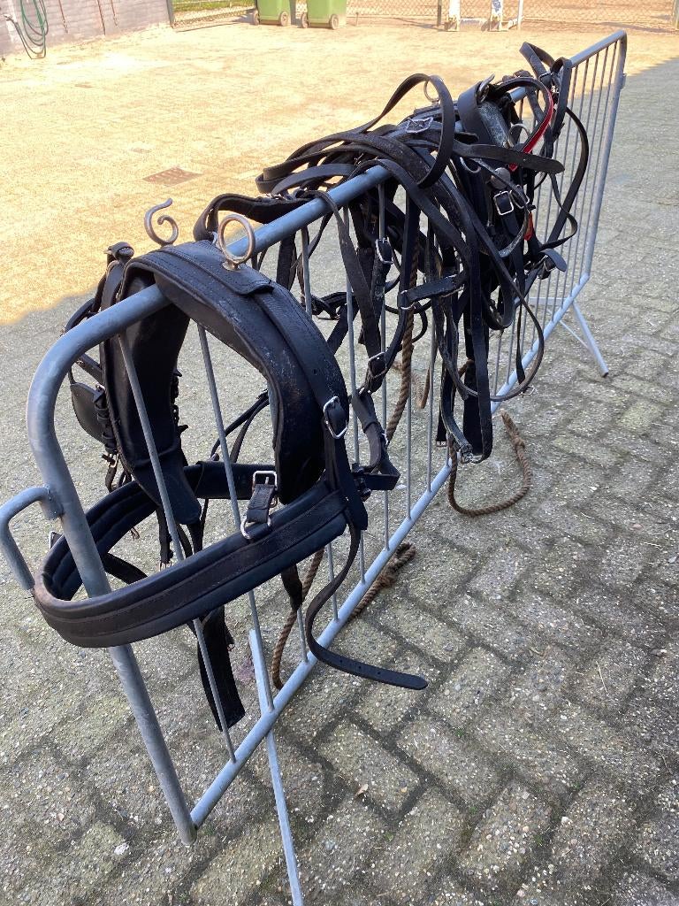 tweespantuig voor shetlandpony, Dieren en Toebehoren, Ophalen of Verzenden, Zwart