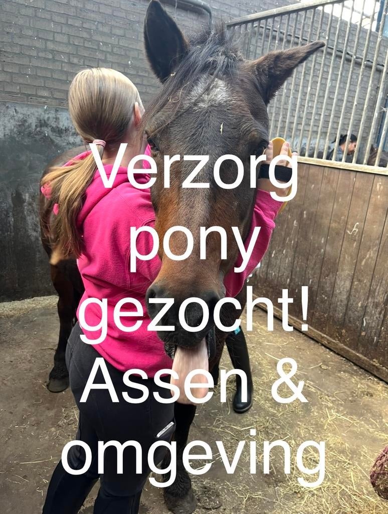 Verzorg pony gezocht, Dieren en Toebehoren
