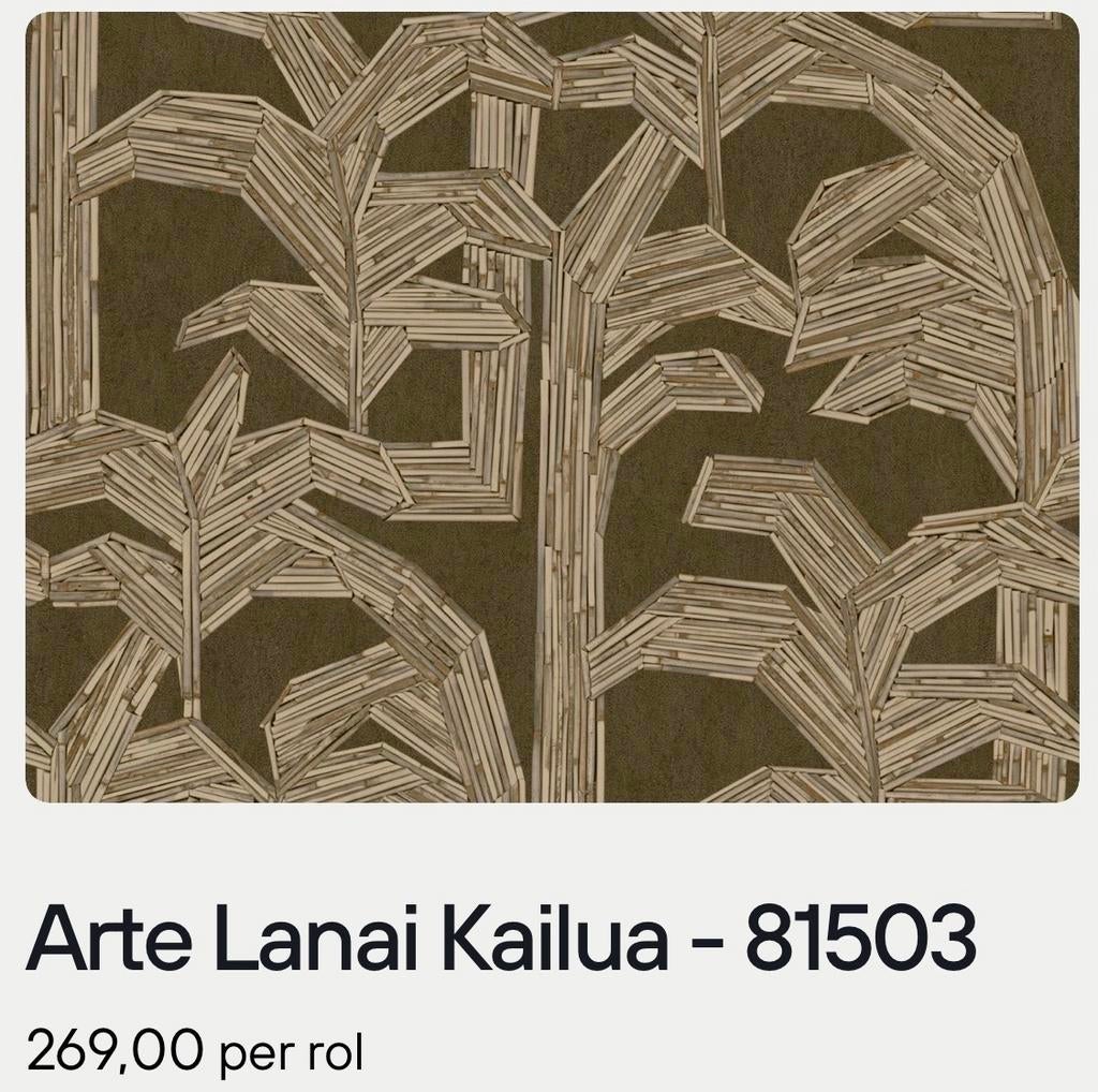Arte Lanai Kailua - 81503 behang - 6 rollen, Ophalen, 50 tot 75 m², Bruin