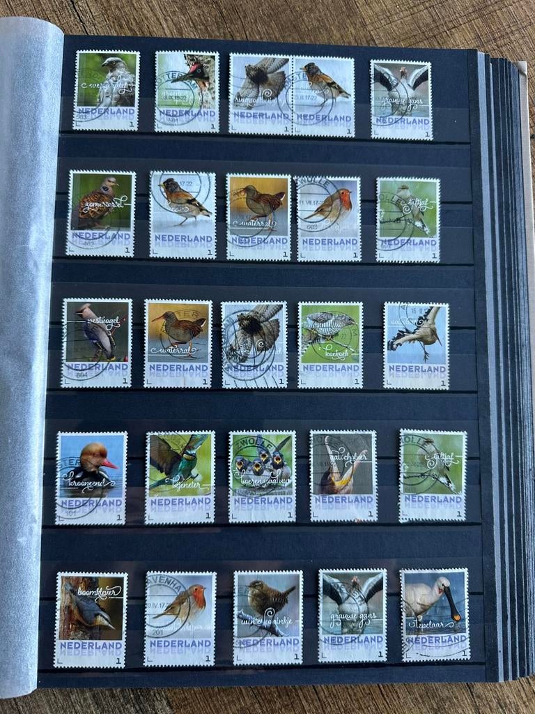 Nederland 100, Verzenden, Nederland