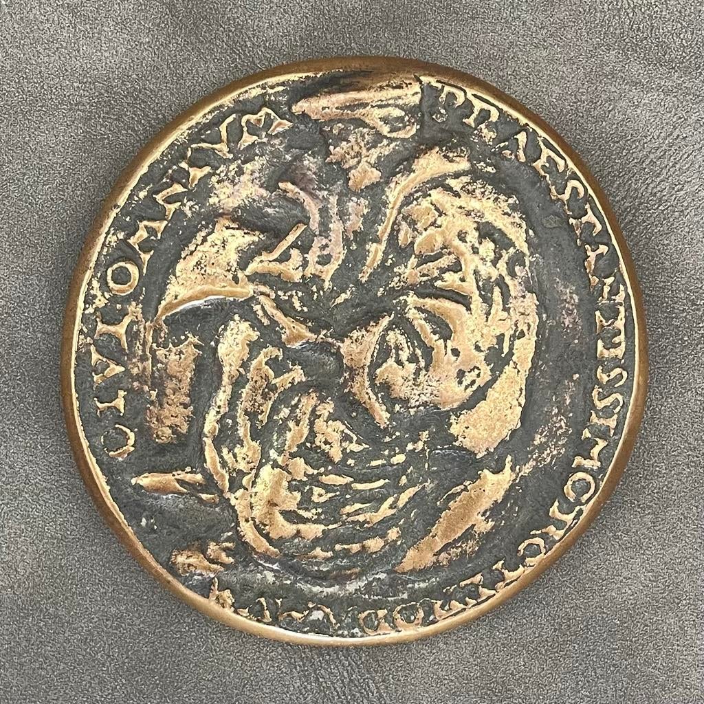 Erasmus penning in brons door Ruth Brouwer, Ophalen of Verzenden, Brons, Nederland